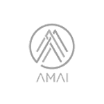 AMAIMesa-de-trabajo-2